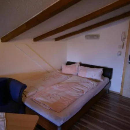 Appartement Gschwandtner Zell am See Exterior photo